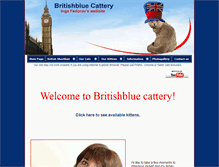 Tablet Screenshot of britishbluecats.com